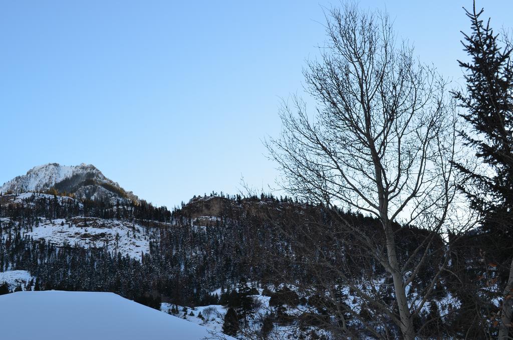 The Ouray Main Street Inn الغرفة الصورة