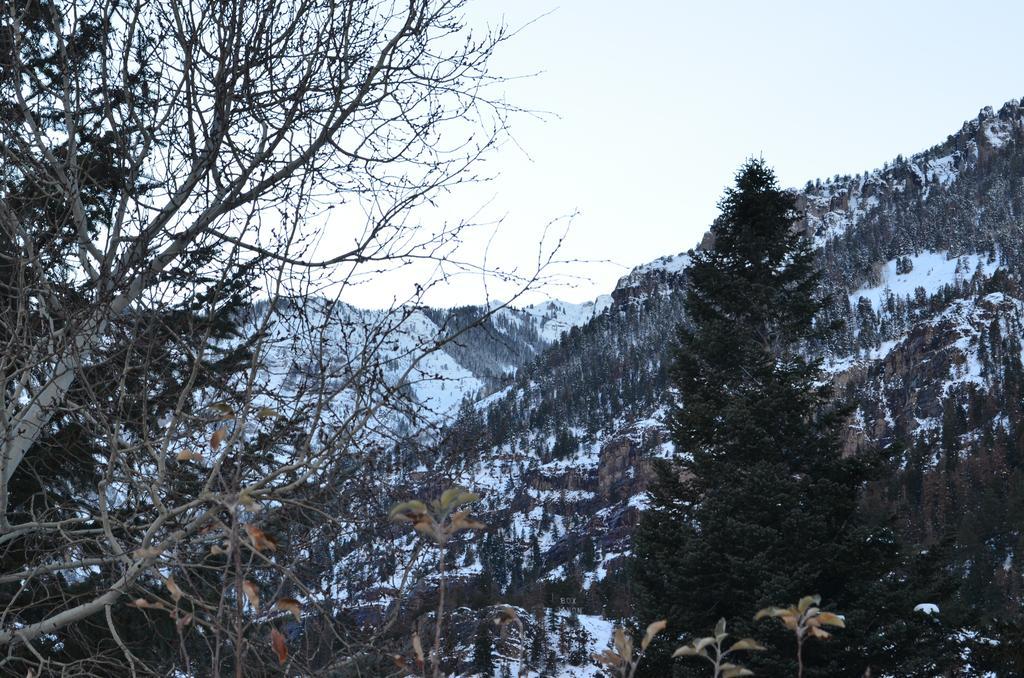 The Ouray Main Street Inn الغرفة الصورة